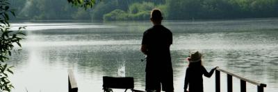 2017. évi halfogási adatok